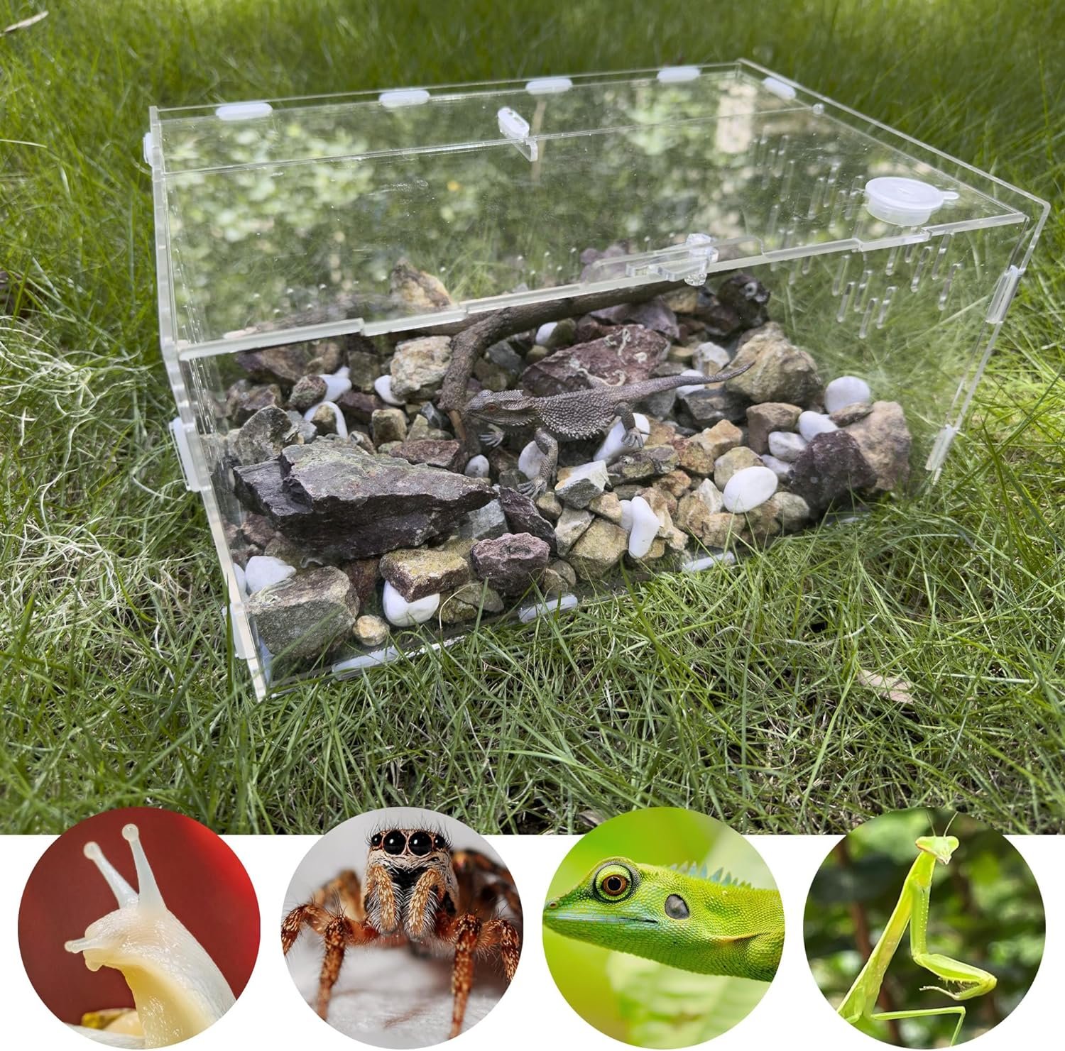 Acrylic Jumping Spider Tarantula Enclosure: 11.8x7.8x5.9 Reptile Tank for Insect Small Tree Dwelling Reptiles - Habitat Terrarium Breeding Box for Crickets Snails Hermit Crabs Lizards Frogs Mantis