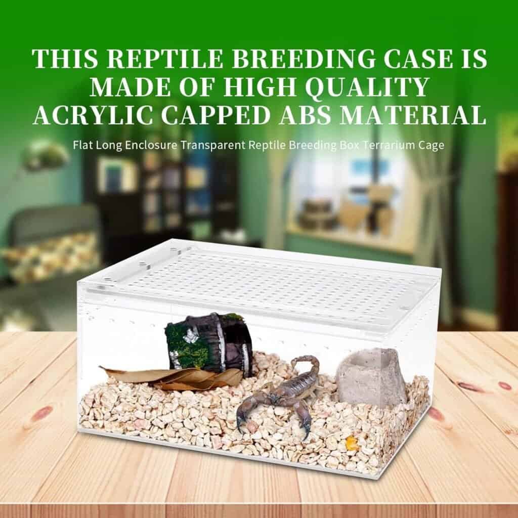 Acrylic Reptile Enclosure Review - Tarantula Zone