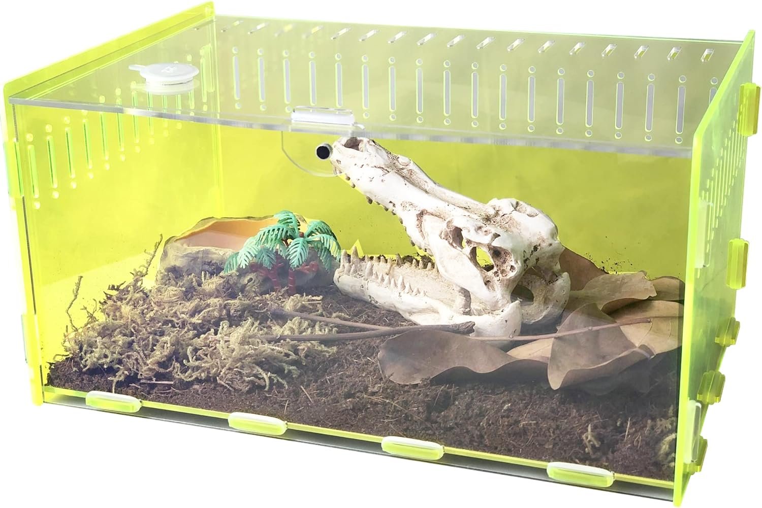 Acrylic Reptile Terrarium, Clear Green Tarantula Enclosure, 12 x 8 x 6Reptile Feeding Tarantula Habitat Box, for Small Reptiles and Invertebrates, Mantis, Spider, Cricket, Snails，Hermit Crabs，Frog