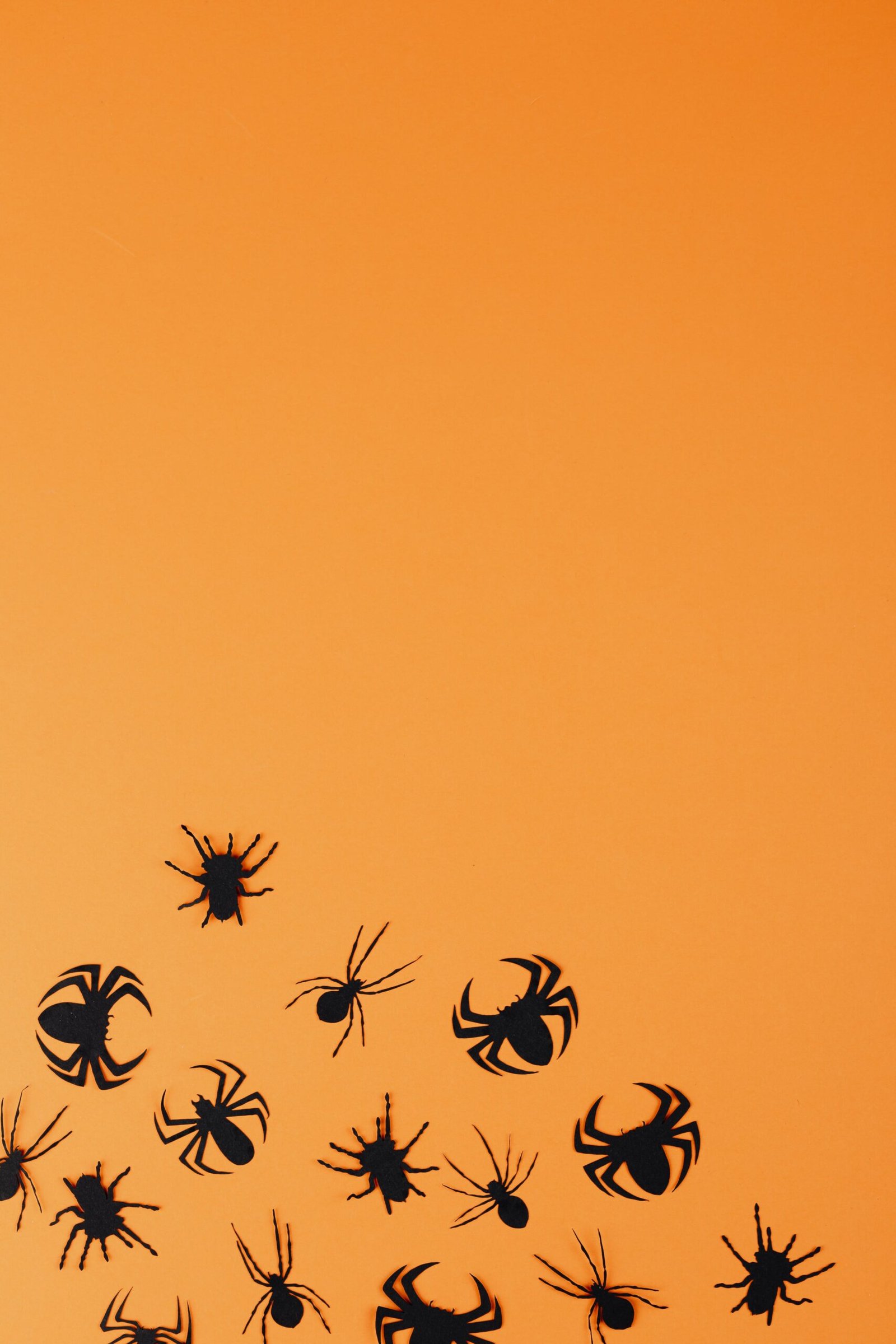 Can Tarantulas Be Threatened By Larger Predatory Arachnids Like Whip Scorpions?