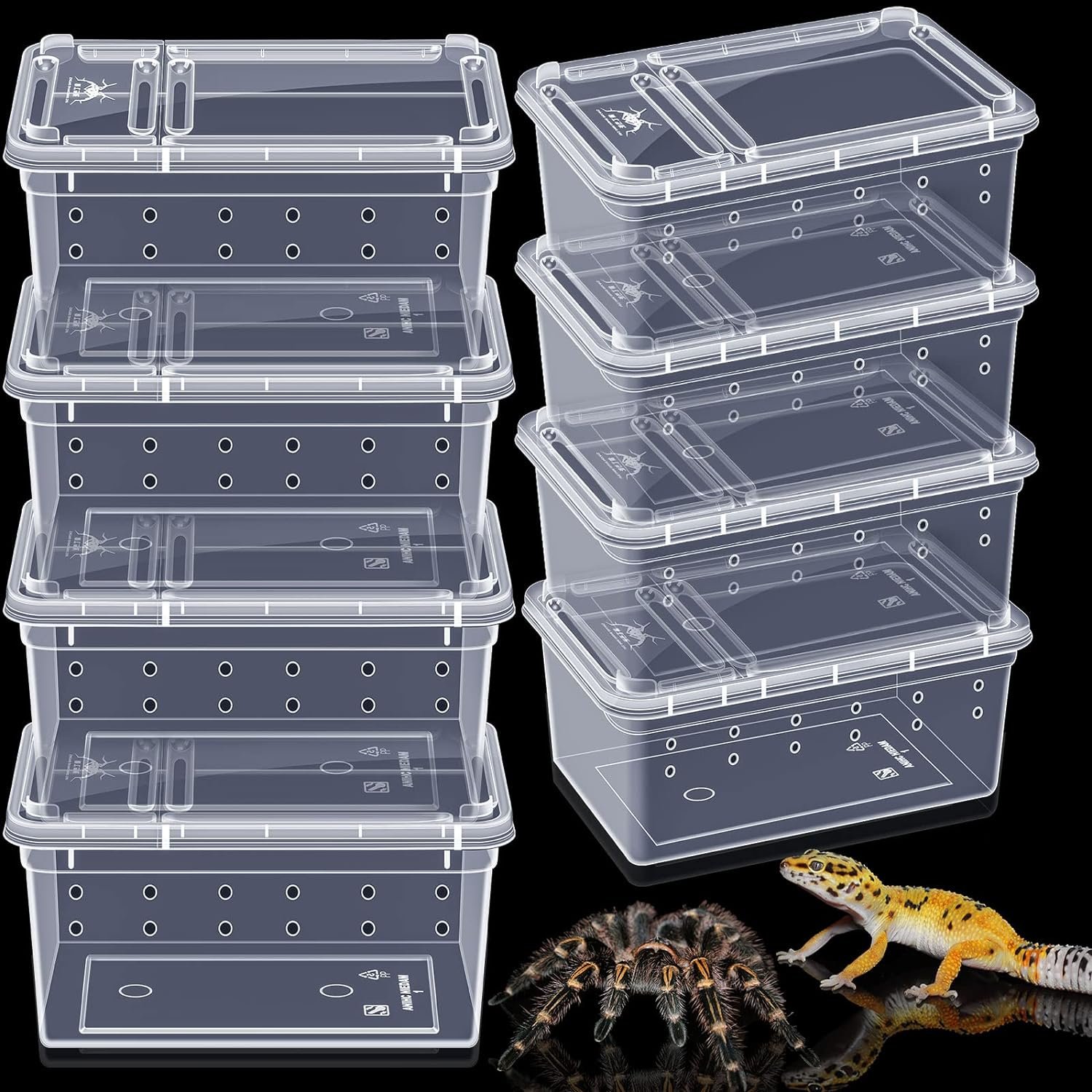 Irenare 8 Pcs Reptile Breeding Breeding Box Plastic Spider Terrarium Tarantula Feeding Box for Bearded Dragon Lizard Spider Gecko Scorpion, 5.9 x 3.9 x 2.5 in