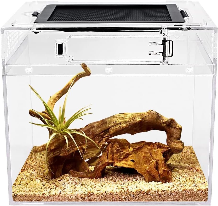 Reptile Growth Mini Reptile Terrarium,8 x 8x 8 Reptile Tank with Full View Visually Appealing，for Insect，Fish，Tarantula，Hermit Crab，Jumping Spider，Iguana，Tortoise，Leopard Gecko，Frog，Bearded Dragon