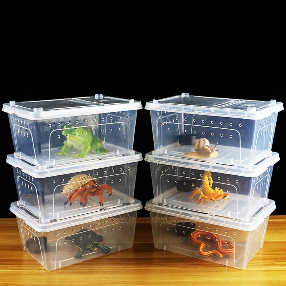 Reptile Transport Container Box Review
